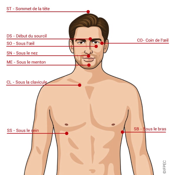 points eft du buste